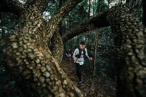 BIB: 
                            <button type="button" onclick="openModal(25393632)" class="btn btn-primary btn-sm float-right btn-popup" data-toggle="modal" data-target=".modal-high-quality">
                        <i class="fas fa-shopping-cart"></i> Add to Cart
                    </button>
                                            <button type="button" onclick="isThisMe(25393632, true)" class="btn btn-success btn-sm float-right btn-popup btn-isme hidden" data-toggle="tooltip" data-placement="bottom" title="นี่คือรูปของคุณใช่ไหม คลิกที่นี่เพื่อเอาเข้าอัลบั้ม">
                        <i class="fas fa-plus"></i> Add to album
                    </button>
                    <button type="button" onclick="isThisMe(25393632, false)" class="btn btn-warning btn-sm float-right btn-popup btn-isnotme hidden">
                        <i class="fas fa-ban"></i> Remove from album
                    </button>